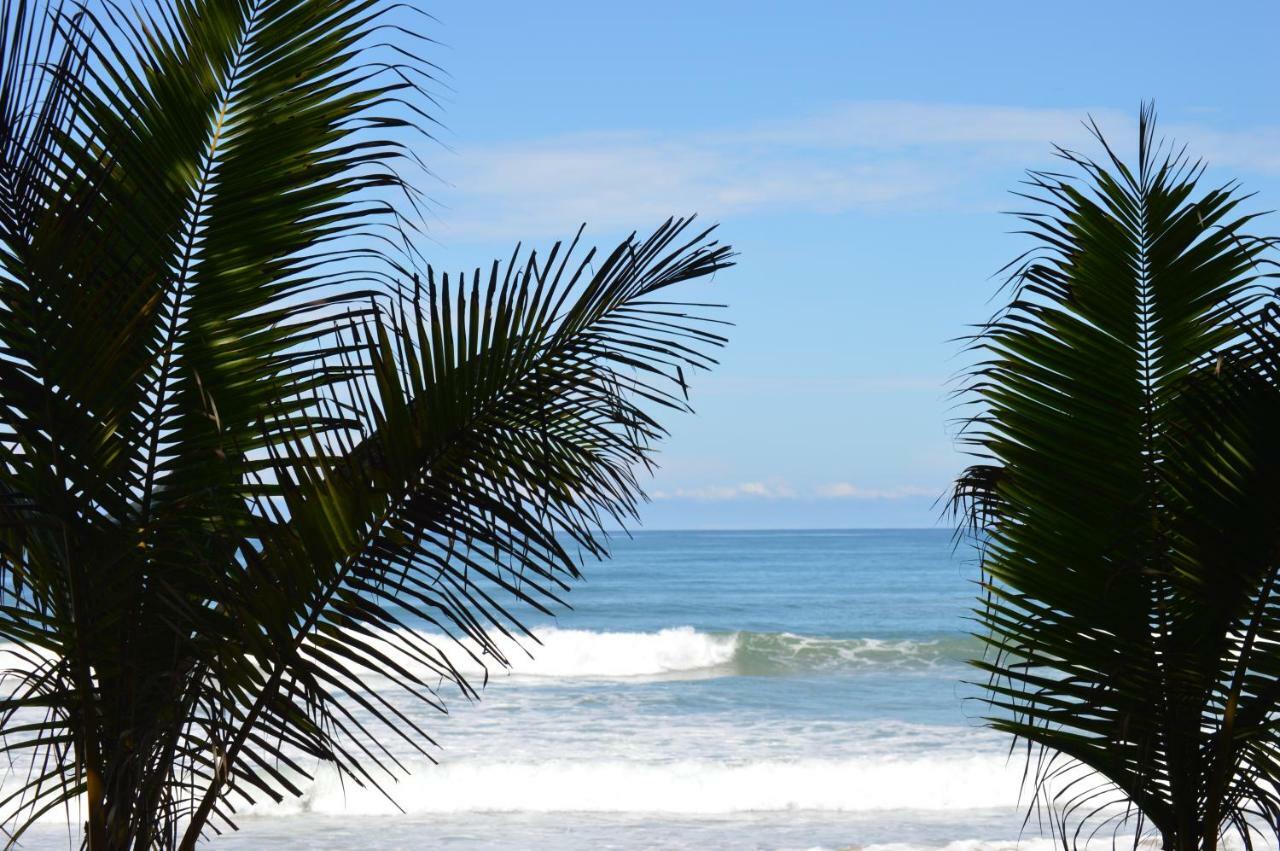 Casa Cecilia Beach Front Playa Santa Teresa  Экстерьер фото